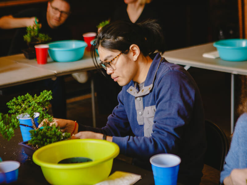 Man cutting bonsai tree